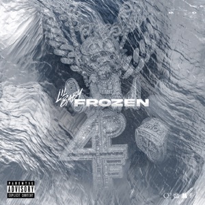 Frozen cover art